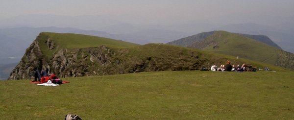 Cordal