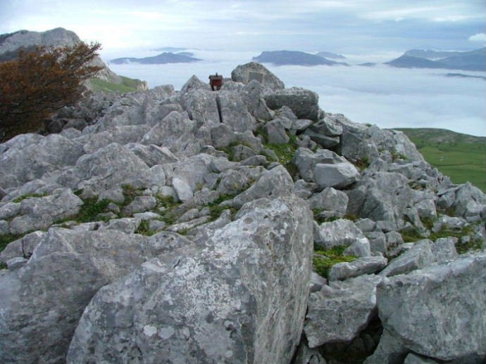 TONTORRA