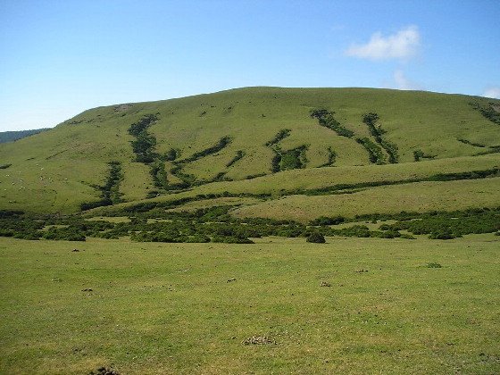 bidean 