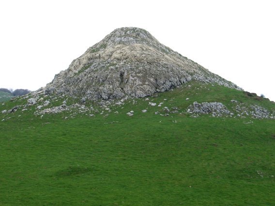 Tontorra