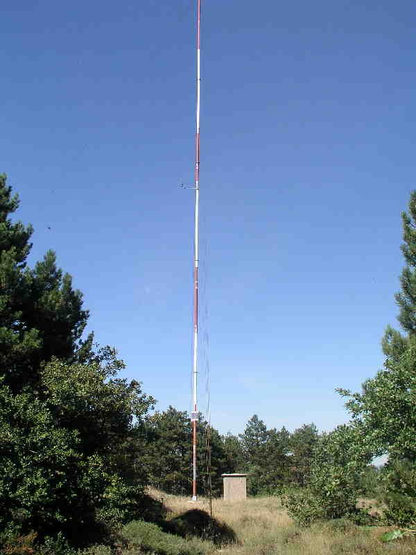 Tontorra 2004