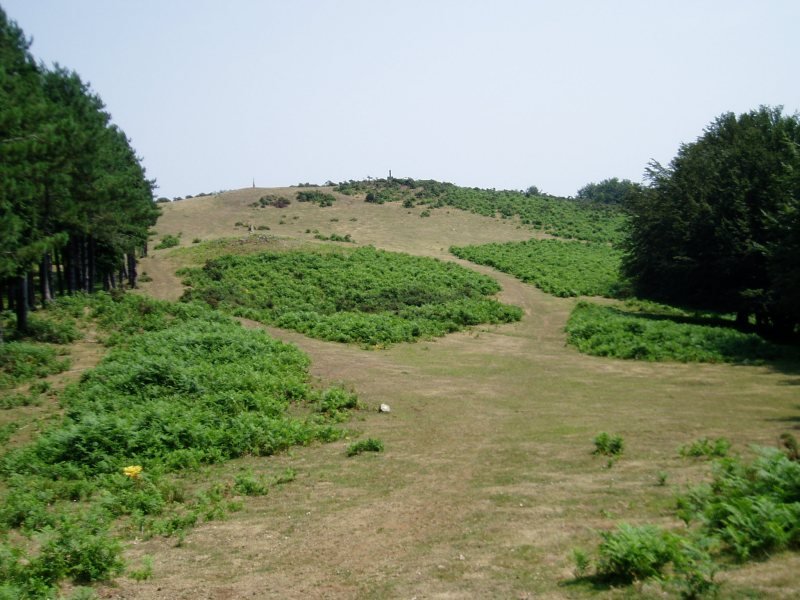 Tontorra