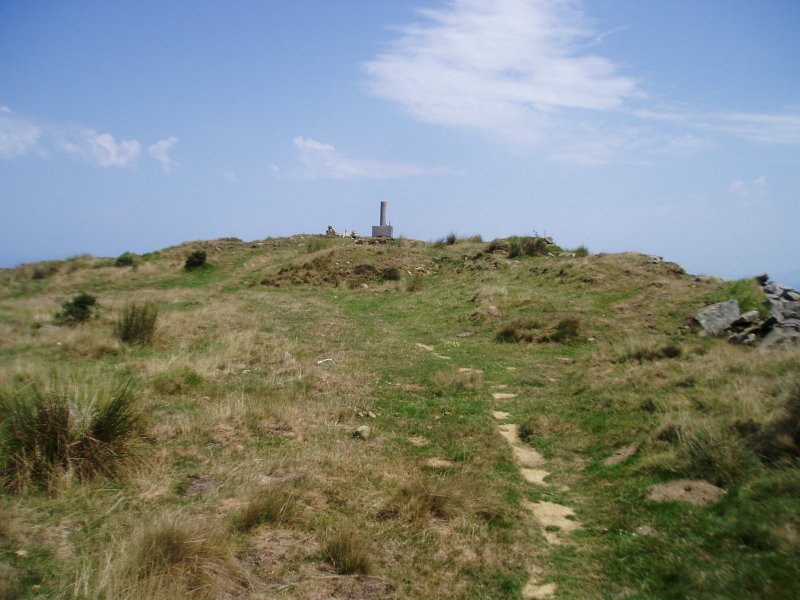 Tontorra