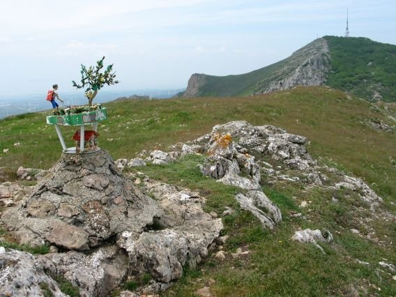Tontorra