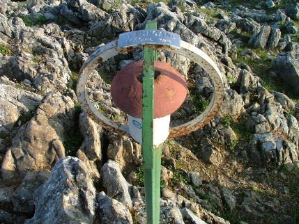 LEUNGANEKO BUZOIA