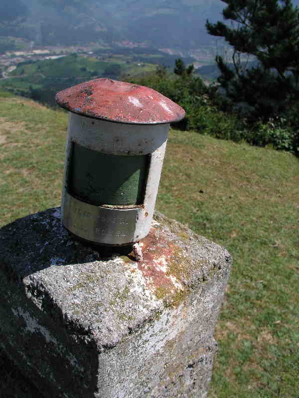 Buzoia