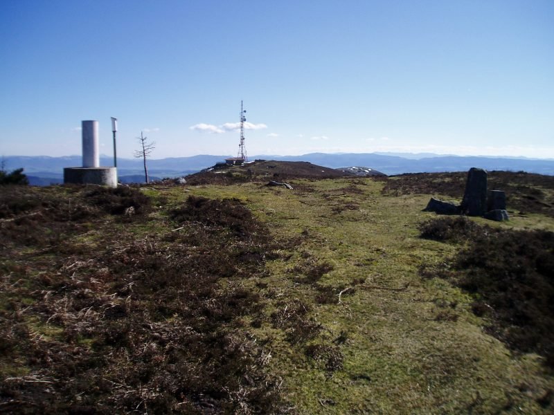 Tontorra