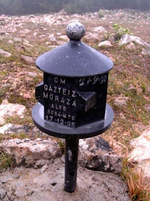 Buzoia
