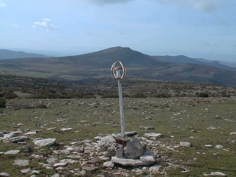 Buzoia 01