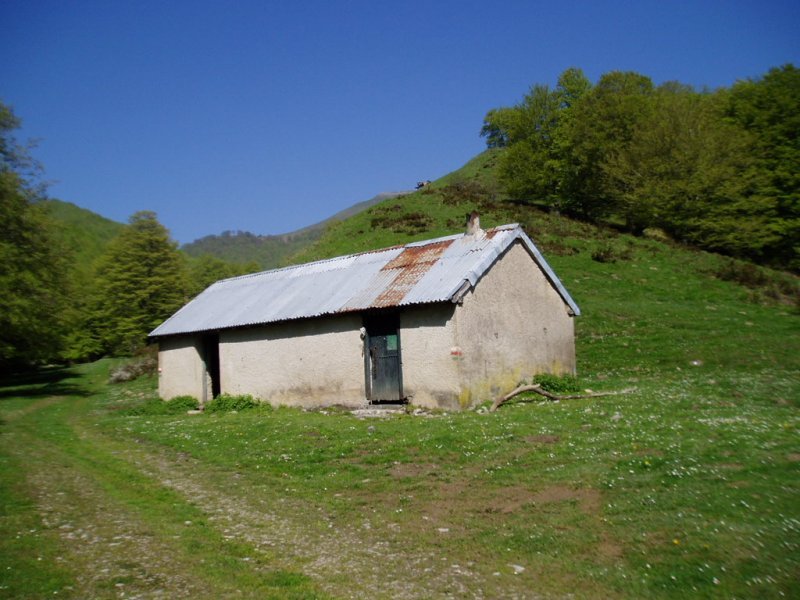 Egurgi aterpea