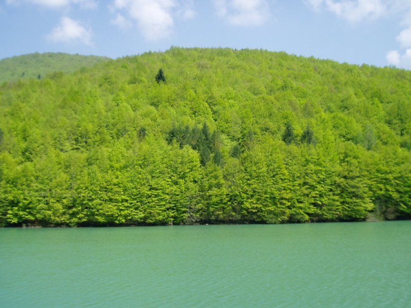 Irabia urtegia
