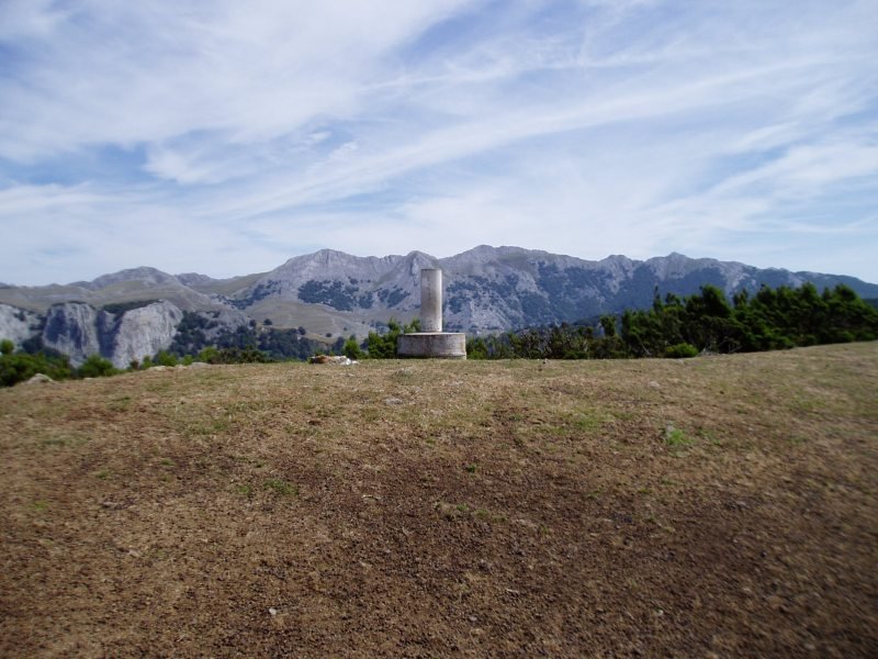 Tontorra
