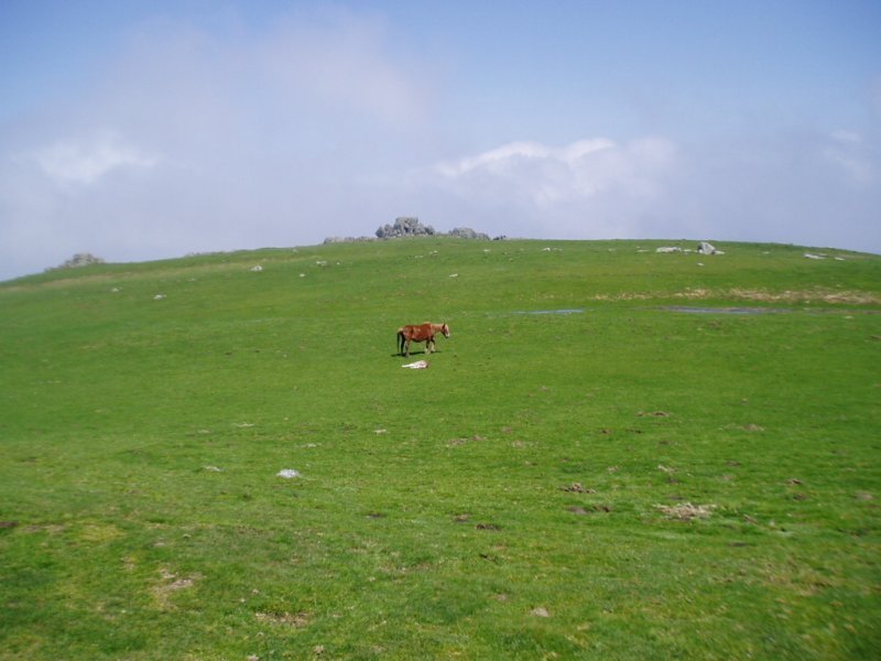 Tontorreko lautada