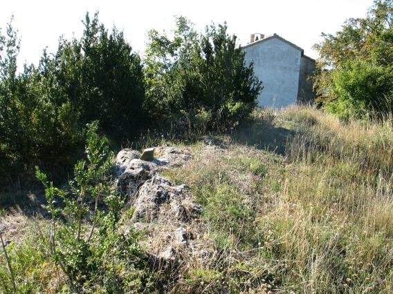 Tontorra
