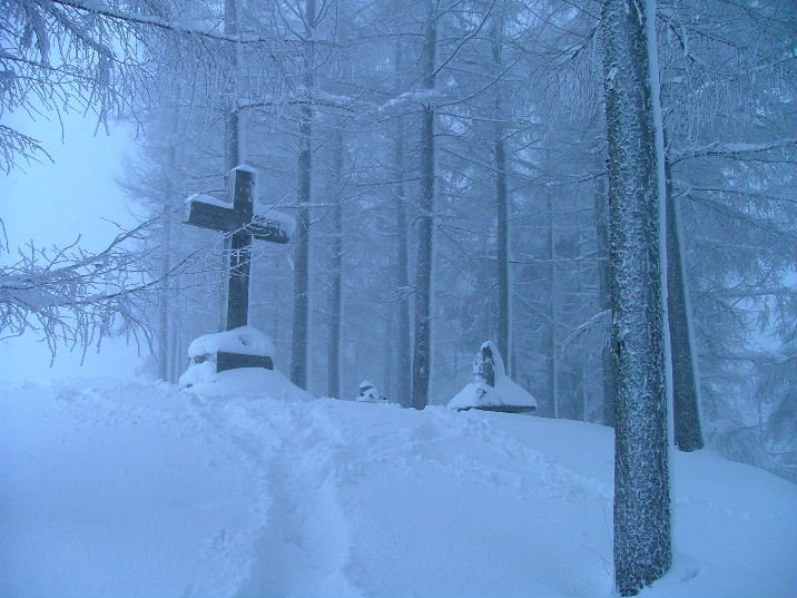 TONTORRA