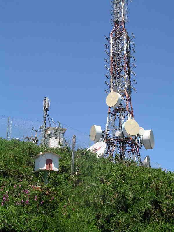 Tontorra