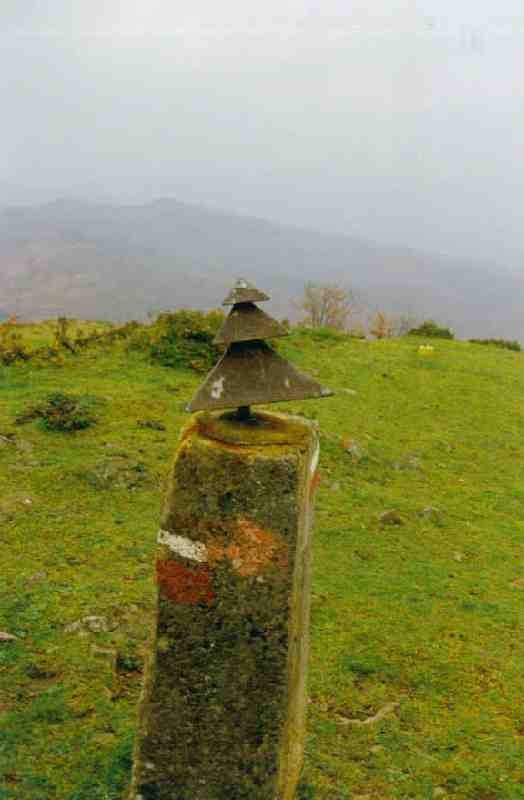 Rioya-Buzoia
