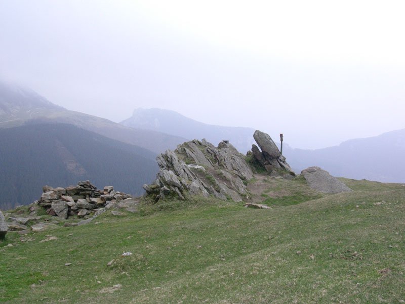 Tontorra