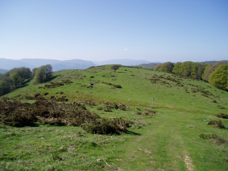 Soroluze