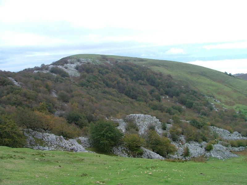 IPARGORTAKO LEPOTIK