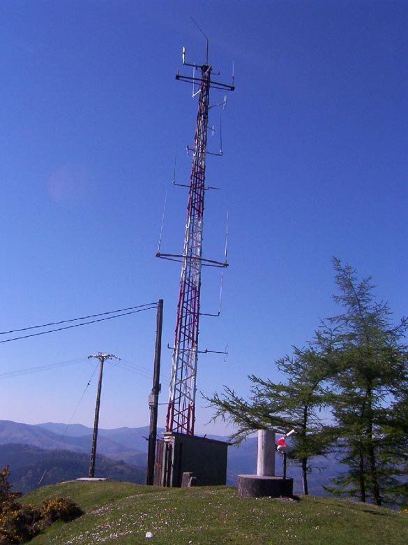 Tontorra