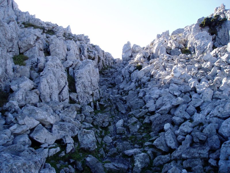 Andraitzeko lepoa