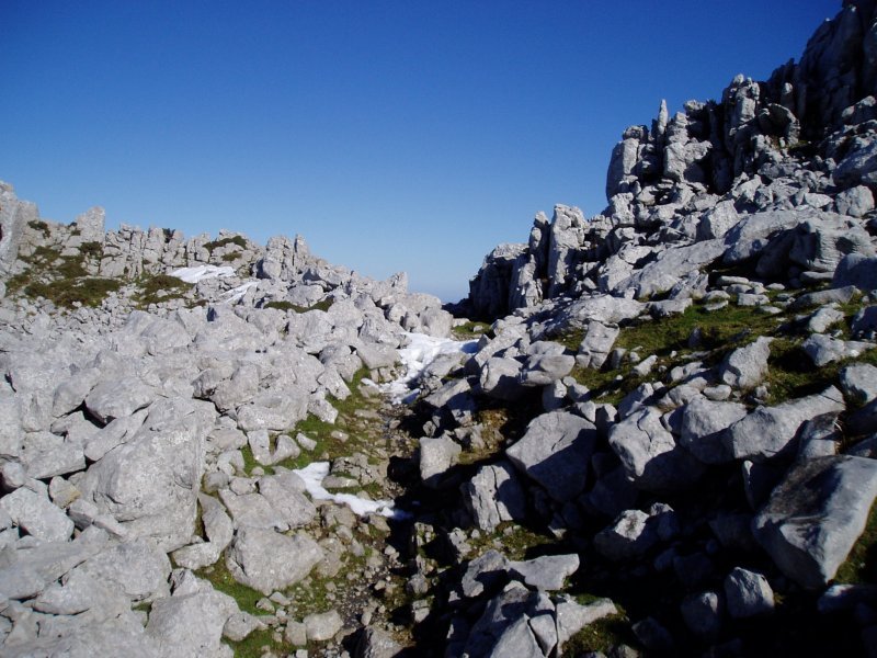 Andraitzeko lepoa