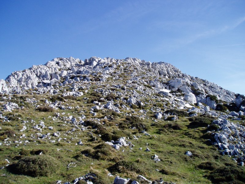 Tontorra