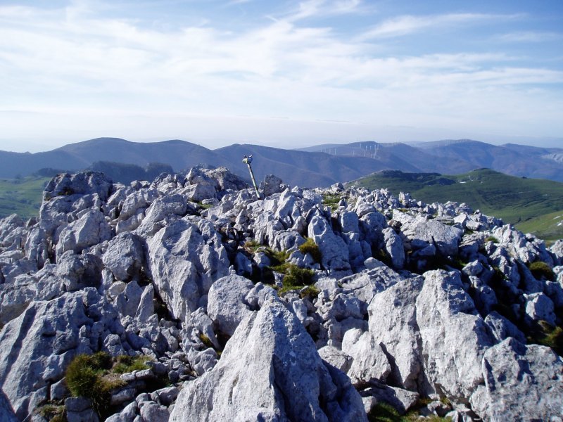 Tontorra