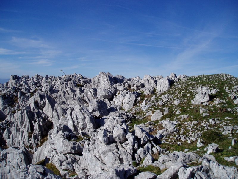 Tontorra