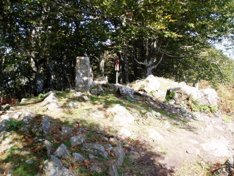 Oregiko tontorra