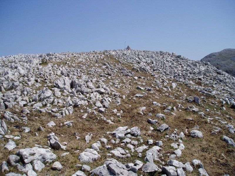 Tontorra