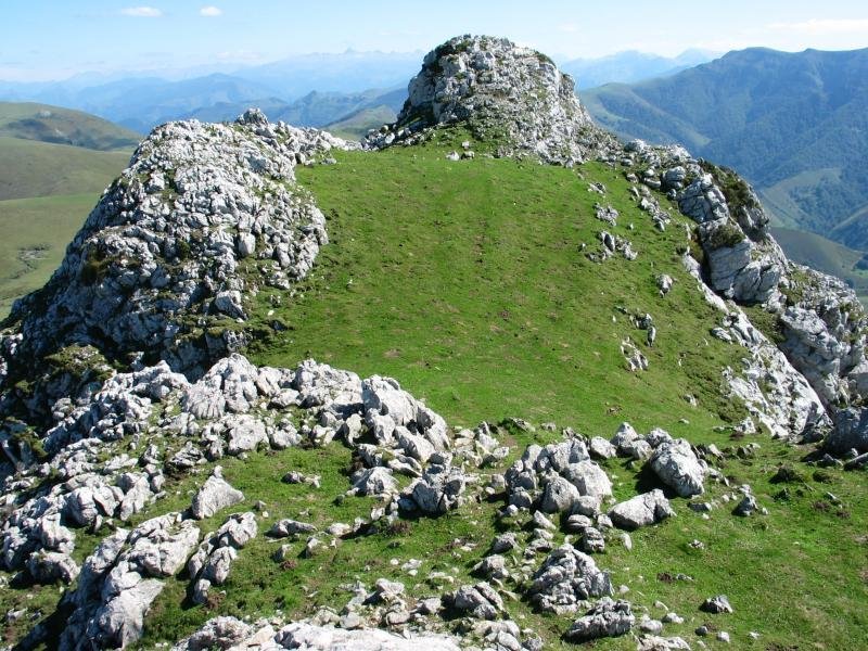 Tontorra