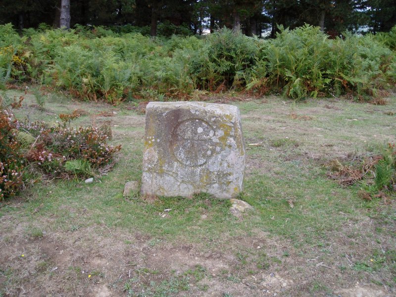 Ipiztekoarria