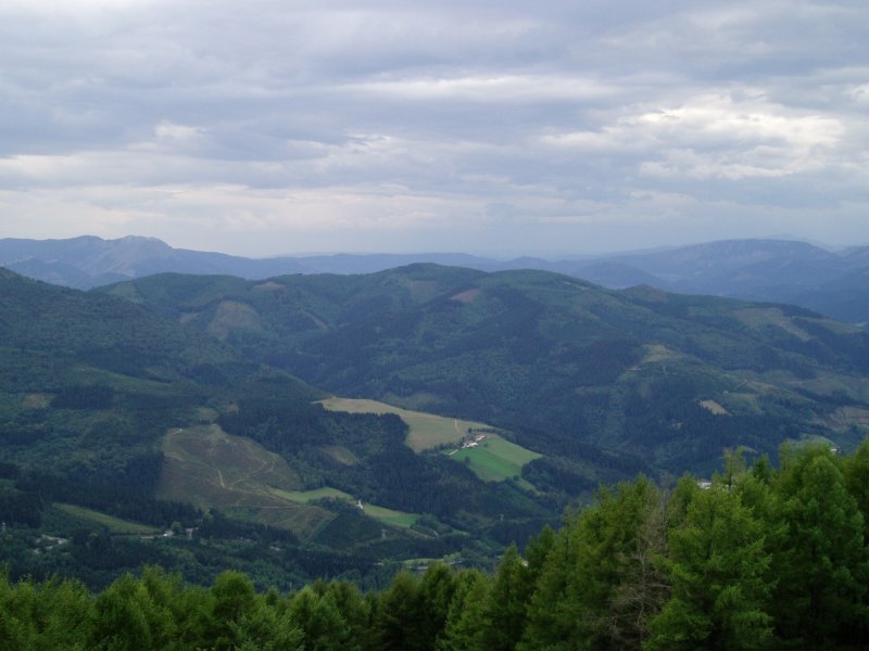 Irimotik ikusita