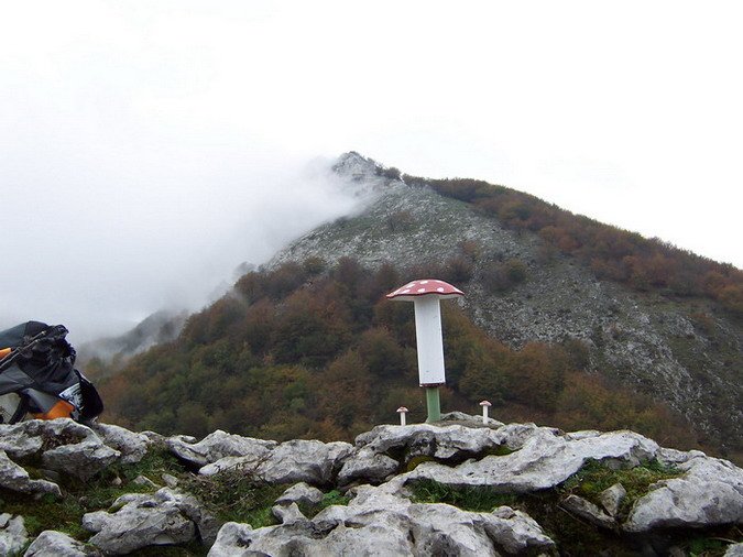 Andarto