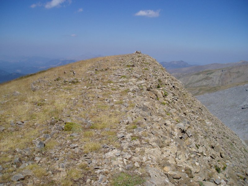 Tontor nagusia