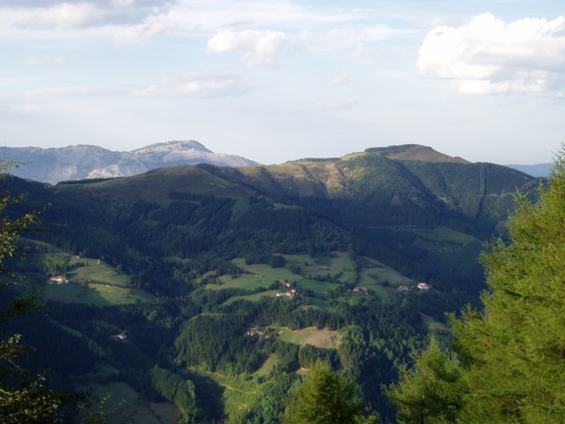 Irimotik ikusita