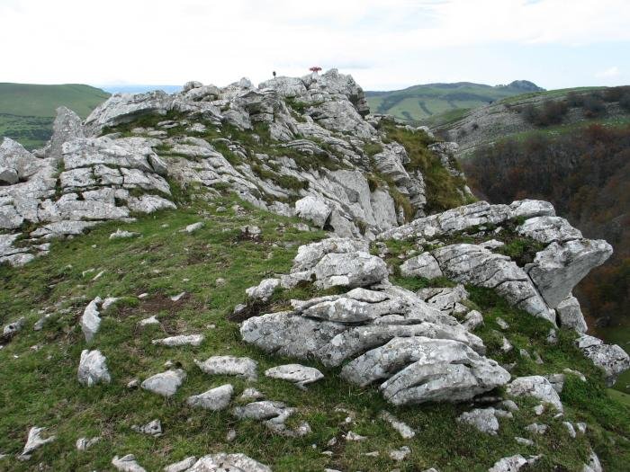 Tontorra