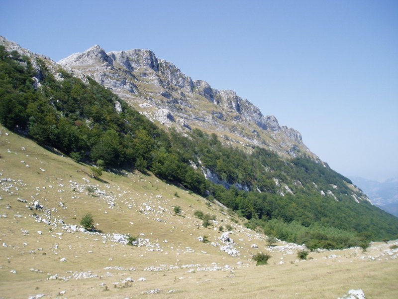 Aginagatik ikusita
