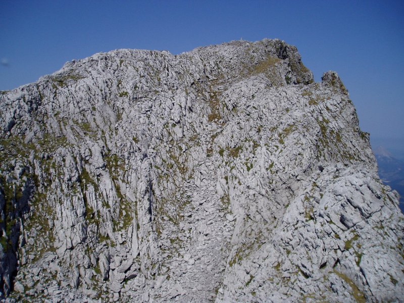 Tontorra