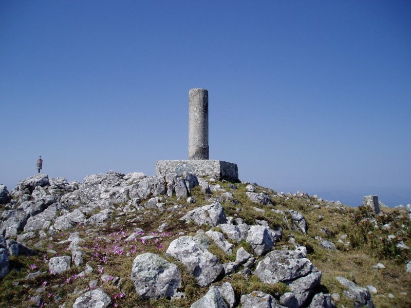 Tontorra