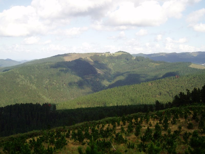 Kanponatik ikusita