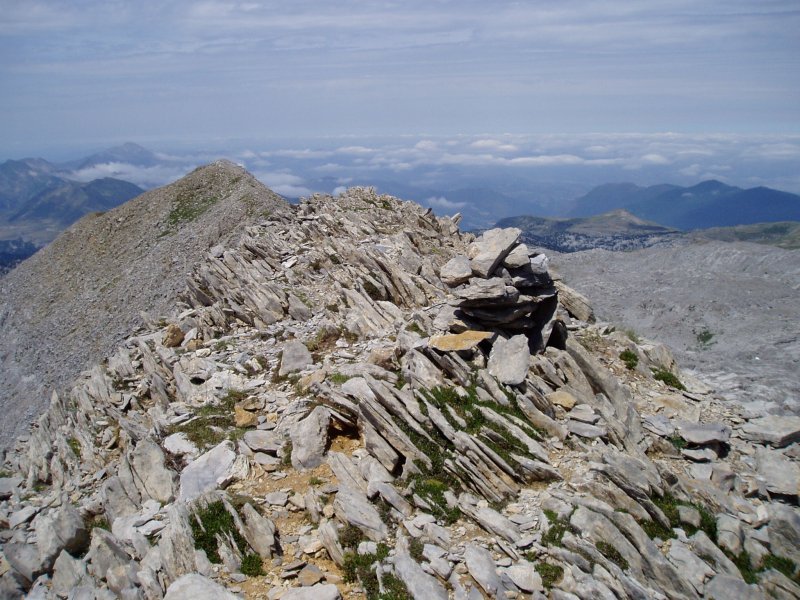 Tontorra