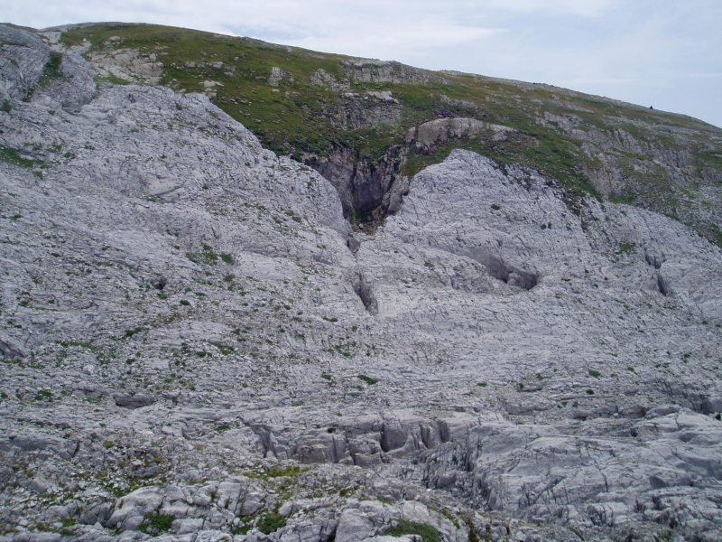 Larra