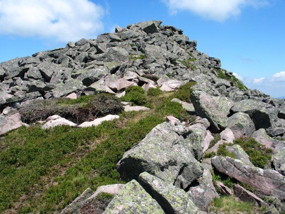 Tontorra