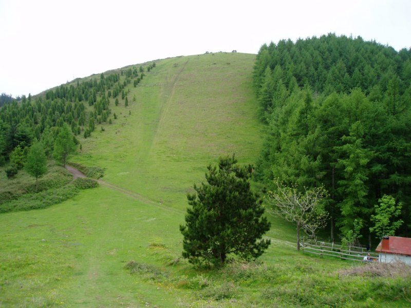 Iparraldetik ikusita