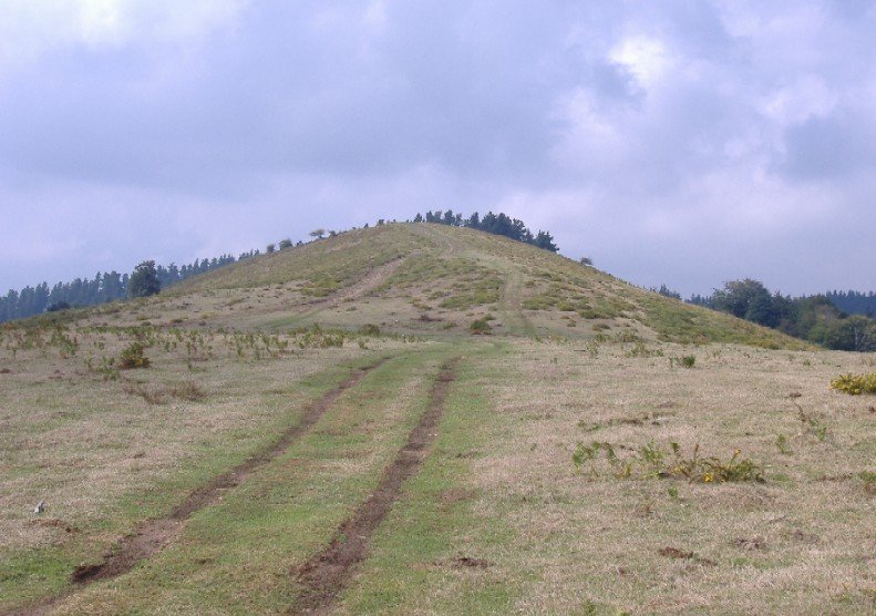 tontorrarako bidean
