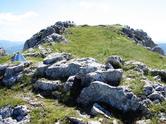 Tontorra