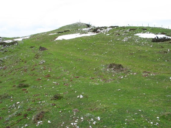 Tontorra Etik